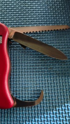 Victorinox