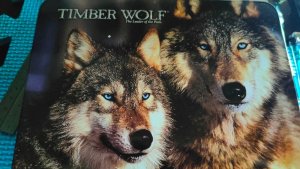 Timber Wolf