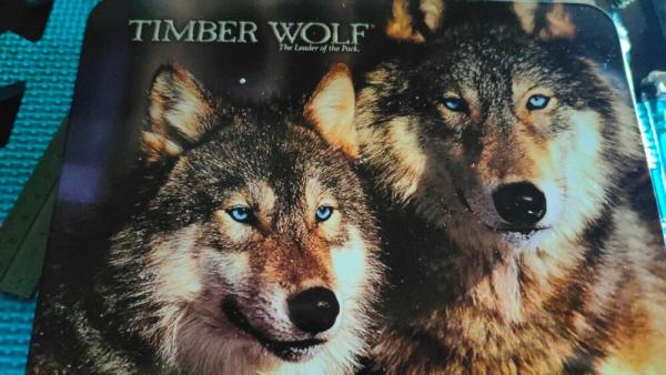 Timber Wolf