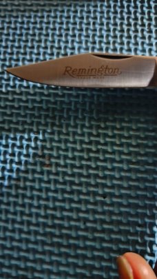 Remington