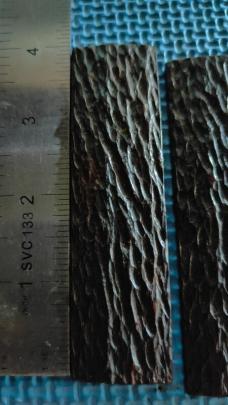large precut