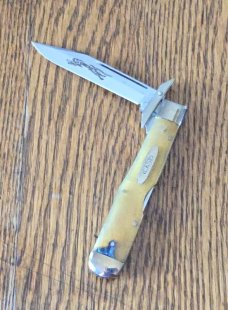Case XX Classic 1996 Cheetah Genuine Sheep Horn Prototype Knife with Recall Tin