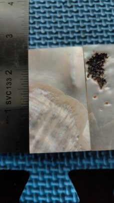 Mother of Pearl Scales