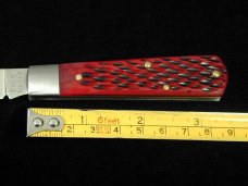 Dollar Knife Co. 2023 Red Jigged Bone Jack from Cooper Cutlery USA RJB NS