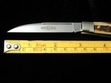 Great Eastern Cutlery Northfield Sambar Stag Congress Clerk Knife 130224 Wharncliffe