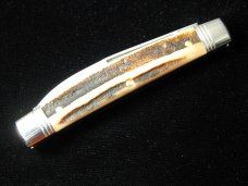 Great Eastern Cutlery Northfield Sambar Stag Congress Clerk Knife 130224 Wharncliffe