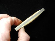 Great Eastern Cutlery Northfield Sambar Stag Congress Clerk Knife 130224 Wharncliffe
