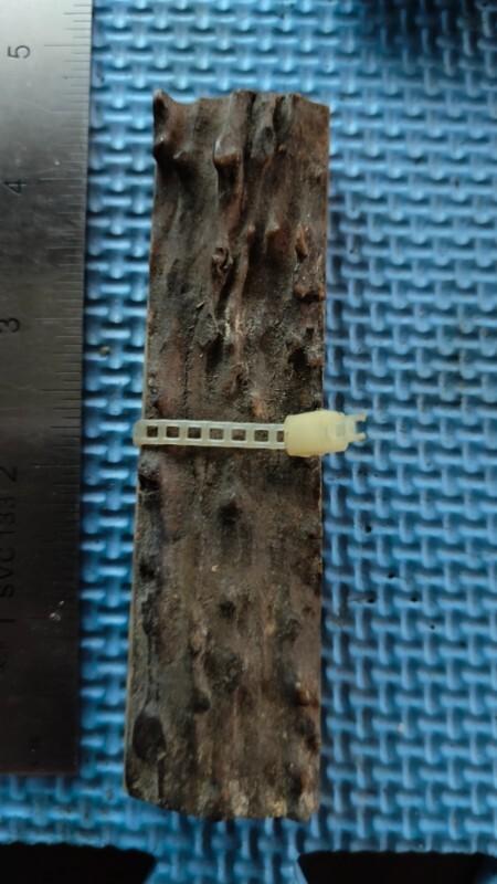 Stag Handle Stag Handle