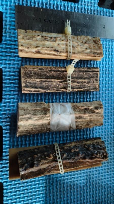Stag scales