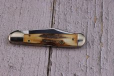 1998 CASE XX 51749SS STAG IN DISPLAY TIN