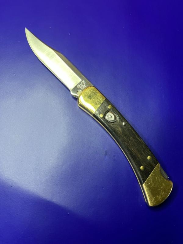Buck 110 Auto Knife