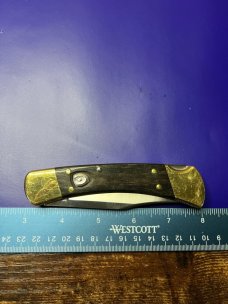 Buck 110 Auto Knife