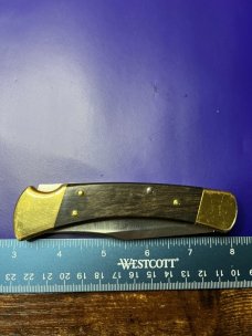 Buck 110 Auto Knife