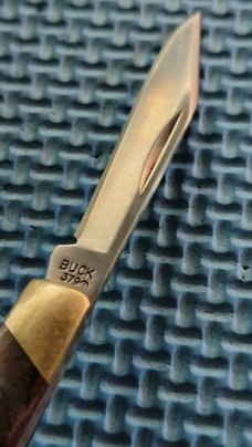 Buck