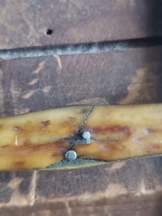 1900-1916 Robeson Cutlery Co Swell Center Jack Knife 622 283