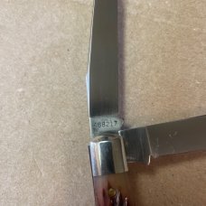 GEC 488217 Amber Bone