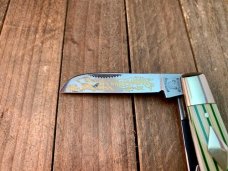 Fight N Rooster Stockman “Grasshopper” Congress Beautiful Celluloid