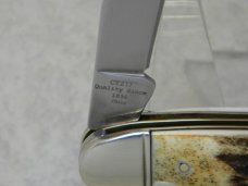 Colt CT217 Genuine Stag Muskrat Knife