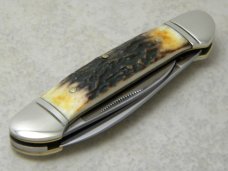 Colt CT220 Genuine Stag Canoe Knife