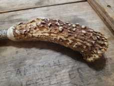 Huge EC Simmons Keen Kutter Carving Knife - Gorgeous Gnarly Stag