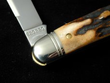Great Eastern Cutlery Northfield Sambar Stag Pocket Congress Knife 620220 Wharncliffe 1 of 679
