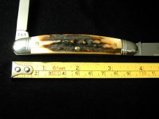 Great Eastern Cutlery Northfield Sambar Stag Pocket Congress Knife 620220 Wharncliffe 1 of 679