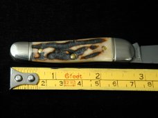 Great Eastern Cutlery Northfield Sambar Stag Little Rattler Knife 190120 NIT 1 of 533 Wharncliffe