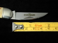 Great Eastern Cutlery Northfield Sambar Stag Little Rattler Knife 190120 NIT 1 of 533 Wharncliffe