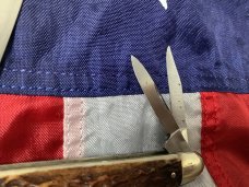 J A Henckels 3 Blade Whittler Pocket Knife w/ Spectacular Old Stag Handles! NOS & M/NM