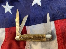 Vintage J A Henckels Small Stockman Knife w/ Nice Stag Handles -NOS