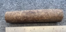 Fossil Walrus Oosik 