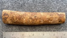 Fossil Walrus Oosik 