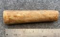 Fossil Walrus Oosik 