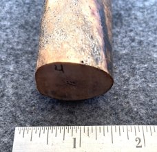 Fossil Walrus Oosik 