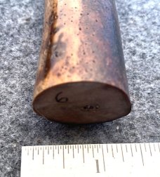 Fossil Walrus Oosik 