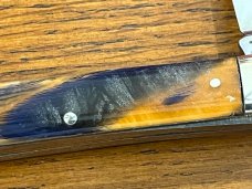 Bulldog 25th Anniversary 4-Blade Congress Folding Knife w/Celluloid Scales GermaStag Scales Germany 