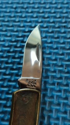 Buck