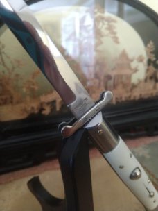 9 Inch White Rizzuto