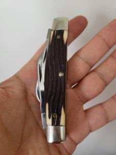  Queen Steel #32 USA Congress Knife, Imitation Winterbottom Bone, Q76