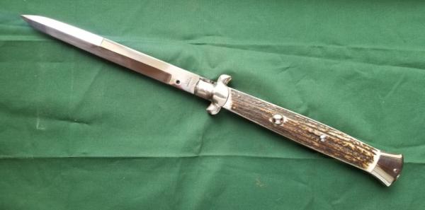 Beautiful Stag 18