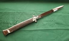 Beautiful Stag 18