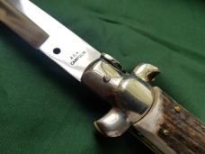 Beautiful Stag 18