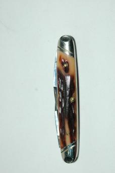 Schatt and Morgan Limited Edition 1-600 Stag Pocket Knife NIB