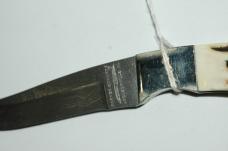 Parker Edwards Damascus Fixed Blade with Sheath