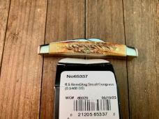 Case Small Congress Recent Vault Release 6.5 Bone Stag 2023