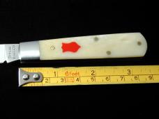 Dollar Knife Co. Natural White Bone with Red Shield Jack Knife from Cooper Cutlery USA NWB-RS