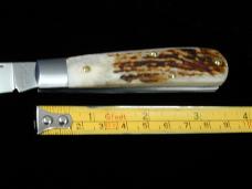 Beaver Falls Cutlery Genuine Stag Jack Knife from Cooper Cutlery USA Made STAG