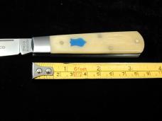 Dollar Knife Co. Natural White Bone with Blue Shield Jack Knife from Cooper Cutlery USA NWB-BS