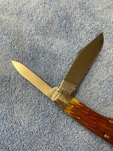 GEC 441218 Goldenrod Bone
