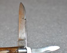 Utica Tear Drop Jigged Bone UTK And Arched Utica Tight Gator Snap Eliptical Shield Used Early 